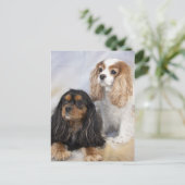 Two Cavalier King Charles Spaniels Postkarte (Stehend Vorderseite)