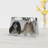 Two Cavaliers in the Snow 08-01a Karte (Gelbe Blume)