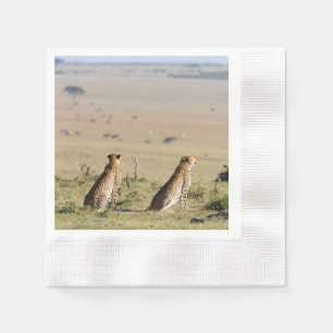 Two cheetahs on the look out serviette