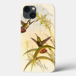 Two Colorful Hummingbirds Aiming for Same Flower Case-Mate iPhone Hülle