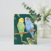 Two cute blue and green Budgie Postkarte (Stehend Vorderseite)