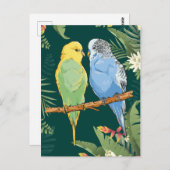 Two cute blue and green Budgie Postkarte (Vorne/Hinten)