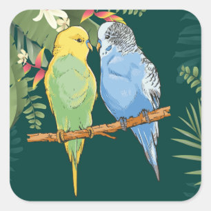 Two cute blue and green Budgies Quadratischer Aufkleber