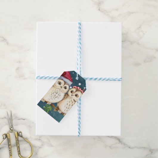 Two cute drawn Owls Geschenkanhänger (Mit Garn)