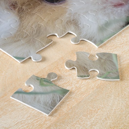 Two Cute Guinea Pigs Puzzle (Seite)