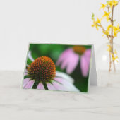 Two echinacea karte (Gelbe Blume)