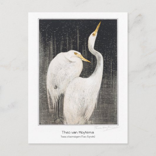 Two Egrets - Theo van Hoytema - Vintage Kunst + Postkarte (Vorderseite)