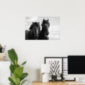 Two Friesian Stallions. Poster (Heimbüro)