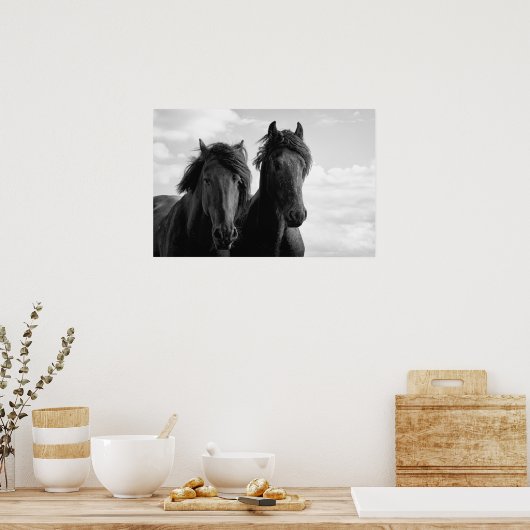 Two Friesian Stallions. Poster (Küche)