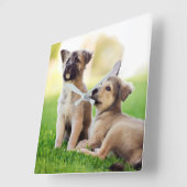 Two German Shepherd Puppies Quadratische Wanduhr (Winkel)