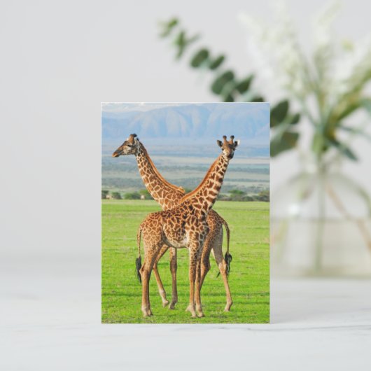Two Giraffes Postkarte (Stehend Vorderseite)