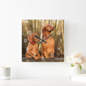 Two Golden Rust Vizsla Dogs Wall Clock Quadratische Wanduhr (Zuhause)