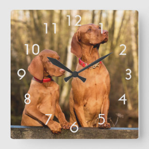 Two Golden Rust Vizsla Dogs Wall Clock Quadratische Wanduhr