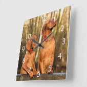 Two Golden Rust Vizsla Dogs Wall Clock Quadratische Wanduhr (Winkel)