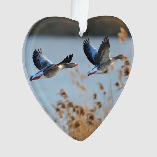 Two  Goose Wildlife Lake Dated Photo Custom Ornament (Vorderseite)