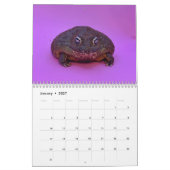 Two Green Frogs' 2026 Calendar Kalender (Jan 2027)