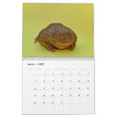 Two Green Frogs' 2026 Calendar Kalender (Mär 2027)