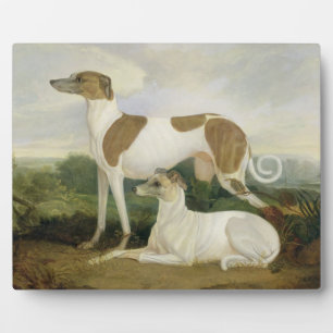 Two Greyhounds in a Landscape (oil on canvas) Fotoplatte
