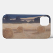 Two Hay Bales 2012 2 Case-Mate iPhone Hülle (Rückseite (Horizontal))