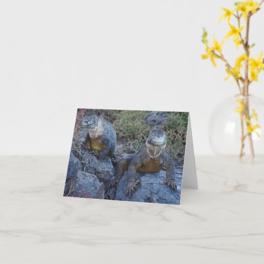 Two Iguanas Greeting Card Karte (Gelbe Blume)