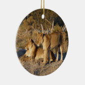 TWO LIONESSES TOGETHER KERAMIK ORNAMENT (Rechts)