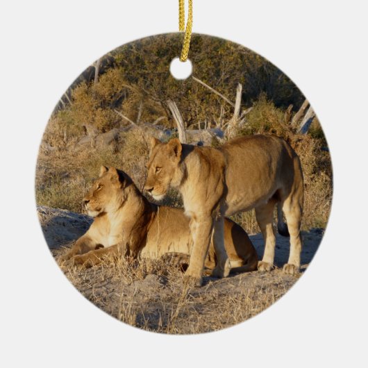 TWO LIONESSES TOGETHER KERAMIK ORNAMENT (Vorne)