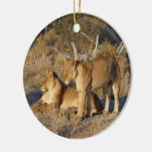 TWO LIONESSES TOGETHER KERAMIK ORNAMENT (Links)