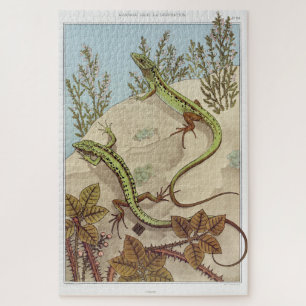 Two Lizards Vintage Illustration Puzzle