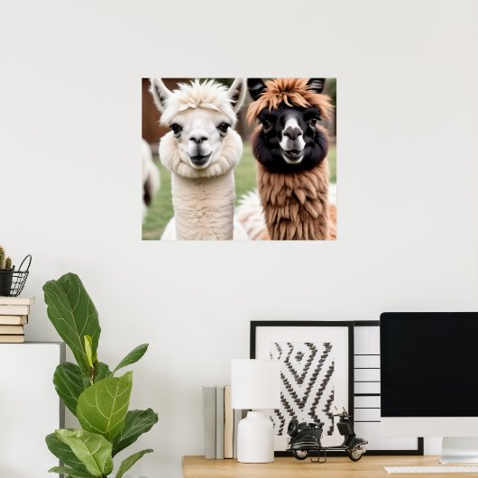 Two Llamas Poster (Heimbüro)