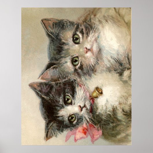 Two lovely Victorian kittens Poster (Vorne)