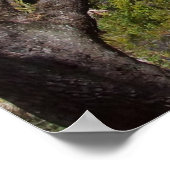 Two Meeting Street Inn, Charleston, SC Poster (Ecke)