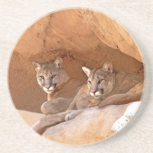 Two mountain lions sandstein untersetzer