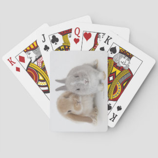 Two Netherland Dwarf and Holland Lop Bunnies Spielkarten