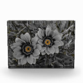 Two of a Kind Fotoblock (Vorderseite)