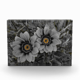 Two of a Kind Fotoblock