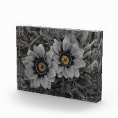 Two of a Kind Fotoblock (Rechts)