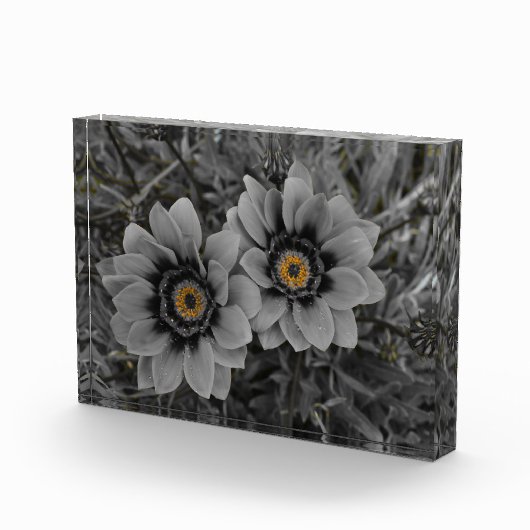 Two of a Kind Fotoblock (Rechts)