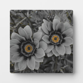 Two of a Kind Fotoplatte