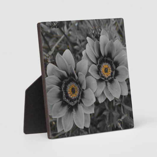 Two of a Kind Fotoplatte (Vorderseite)