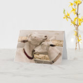 Two of a Kind Loving Goat Couple Karte (Gelbe Blume)