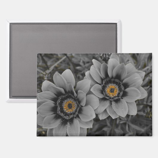 Two of a Kind Magnet (Vorderseite/Rückseite)