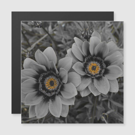 Two of a Kind Magnetic Card Magnetkarte (Vorne/Hinten)