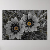 Two of a Kind Poster (Vorne)