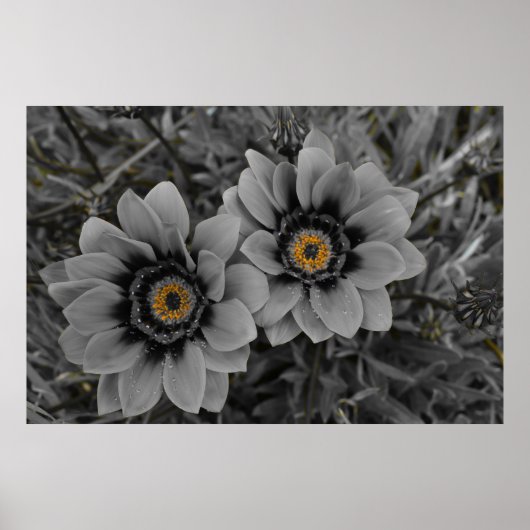 Two of a Kind Poster (Vorne)