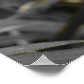 Two of a Kind Poster (Ecke)