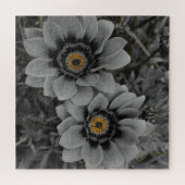 Two of a Kind Puzzle (Horizontal)