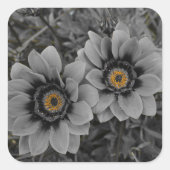 Two of a Kind Quadratischer Aufkleber (Vorderseite)