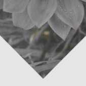 Two of a Kind Seidenpapier (Ausschnitt)