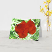 Two Oriental Poppies Flower Photo Karte (Gelbe Blume)