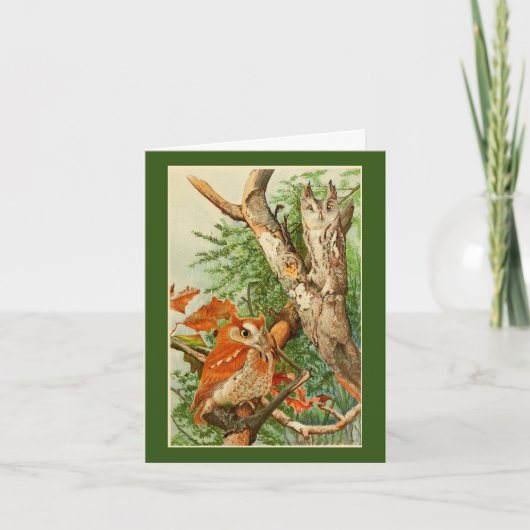 Two Owls Birthday Grußkarte Karte (Vorderseite)